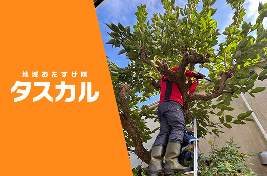 タスカル
